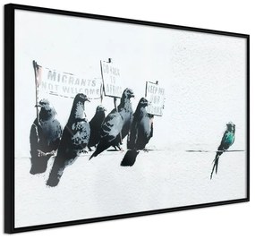 Poster Banksy: Pigeons