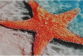 Set di tappetini per il bagno 2 pz 60x100 cm Stella – Foutastic