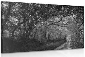 Stampa su tela – Foresta in bianco e nero