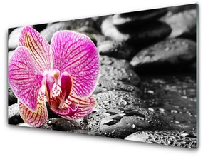 Quadro su vetro acrilico Fiore di pietre di orchidea 100x50 cm