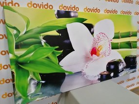 Stampa su tela – Orchidea con tema giapponese