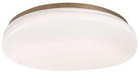 Rabalux 75053 - Plafoniera da bagno LED CALIOPE LED/24W/230V IP44 Ø 41 cm