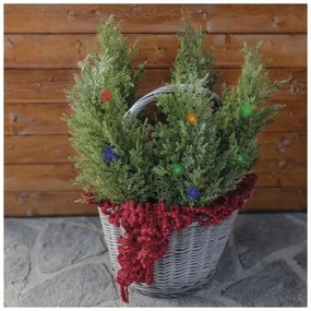 Decorazione solare a LED 50xLED/3W/1,2V 600 mAh IP44