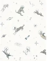 Coordonne Carta da parati panoramica Doggy Gravity - Light
