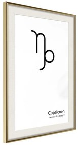 Poster  Zodiac: Capricorn II  Cornice Quadri Cornice d'oro con passe-partout, Larghezza x Altezza Home decor 20x30