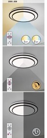Rabalux 2131 - Plafoniera LED dimmerabile LUPITA LED/40W/230V argento + telecomando