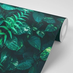 Carta da parati autoadesiva – Foglie tropicali fresche
