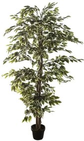 Pianta artificiale senza vaso Ficus in pvc colore multicolore H 240