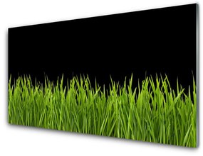 Quadro in vetro acrilico Natura dell'erba verde 100x50 cm