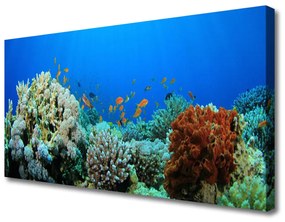 Quadro su tela Natura della barriera corallina 100x50 cm