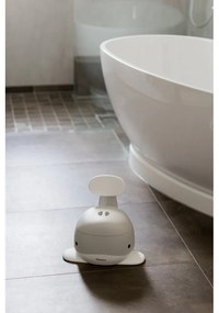 Vasino grigio - Kindsgut