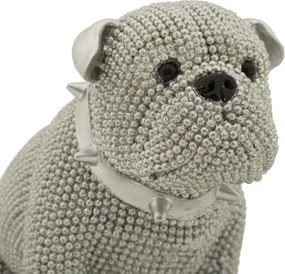 Cane Sparky Cm 17X11X14