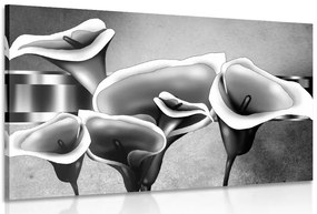 Quadro su tela – Eleganti fiori di calla in bianco e nero