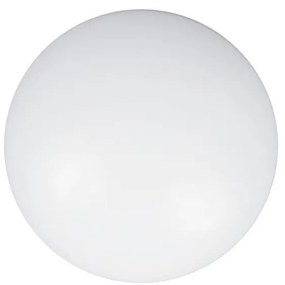 Vetro di ricambio CLEO 60 cm vetro