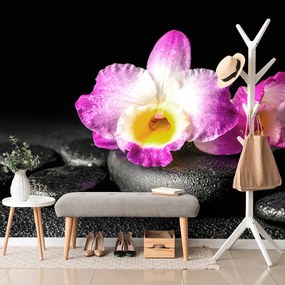 Carta da parati autoadesiva – Orchidea su pietre Zen