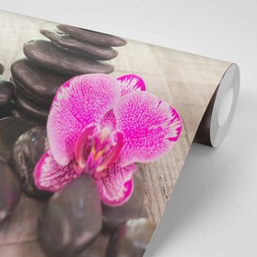 Carta da parati autoadesiva – Orchidea e pietre Zen su legno