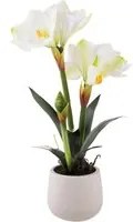 Amaryllis Artificiale con Vaso Altezza 64 cm Bianco