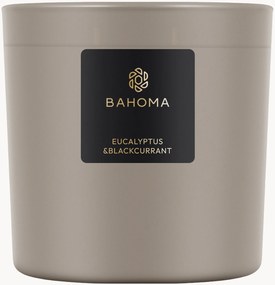 Candela profumata fatta a mano a tre stoppini Eucalipto & Mirtillo Nero (Freesia, Gardenia, Muschio)