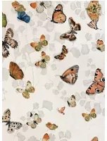 Coordonne Tapete Magic butterflies - Linen