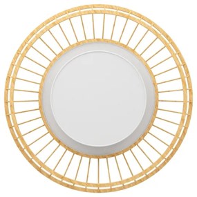 Eglo 900841 - Plafoniera dimmerabile RGBW YUKU-Z LED/22W/230V