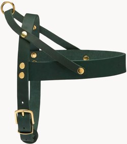 Imbracatura per cani in pelle Classic, varie misure