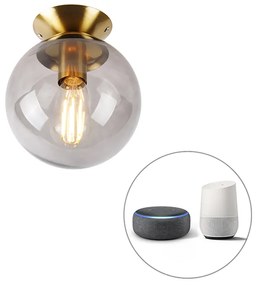 Lampada da soffitto intelligente in ottone con vetro fumé incl. Wifi ST64 - Pallon