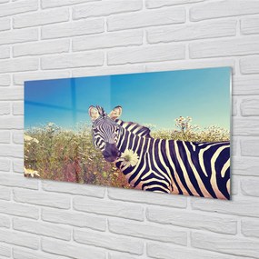 Rivestimento parete cucina Fiori di zebra 100x50 cm