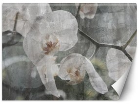 Carta Da Parati, Fiori di orchidea retrò