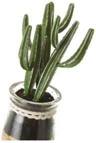 Piante artificiali in set da 4 (altezza 18 cm) Cactus - Casa Selección