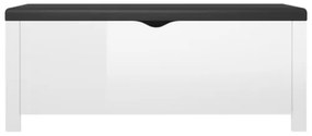 Contenitore con Cuscino Bianco Lucido 105x40x45cm Multistrato
