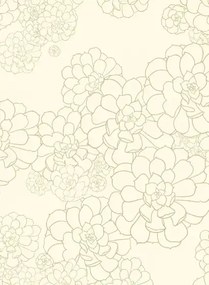Paint & Paper Library Carta da parati Aeonium - Wattle