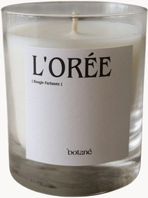 Candela profumata L'Orée (pepe nero, gelsomino sambac e nocciola)