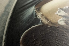 Stampa su tela – Penna storica e pergamena