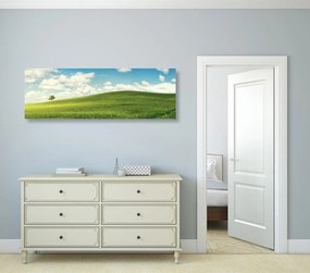 Quadro su tela – Splendido giorno sul prato