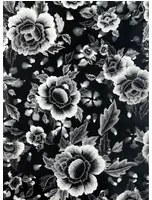 Jean Paul Gaultier Carta da parati Macao - Noir