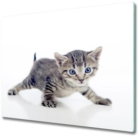 Tagliere in vetro temperato Piccolo gatto 60x52 cm