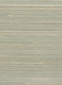 CMO Paris Tapete Abaca Dense - Celadon