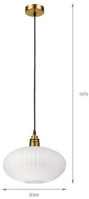 Lampadario sospeso a cavo HECTOR 1xE27/15W/230V, diam. 30 cm