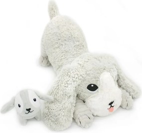 Set di peluche 2 pz Ptipotos Toutou – Les Deglingos