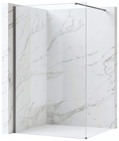 Parete doccia Rea Flexi Transparent / Titan 130