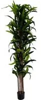 Pianta artificiale plastica Dracaena cmh198