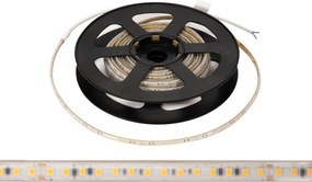 Striscia LED 220V 16W/m IP66 Dimmerabile Professional - Taglio 10cm – 50m