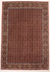 Bidjar Tappeto 290x200 (Iran) Annodato A Mano