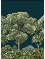 Coordonne Carta da parati panoramica Green Forest - Midnight