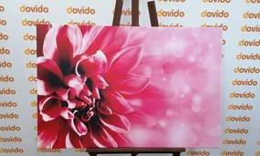 Stampa su tela – Fiore rosa