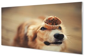 Quadro acrilico Cupcake per cani 100x50 cm