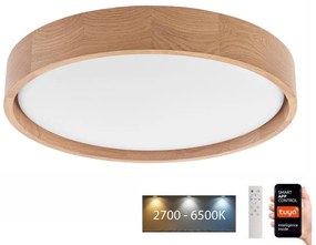 Brilagi - Lampada LED da soffitto MANAROLA SMART LED/24W/230V + DO Tuya