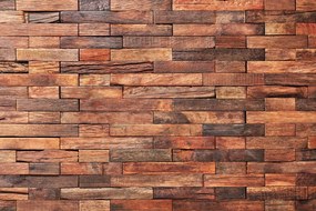 Carta da parati – Incanto del legno