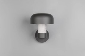 Illuminazione esterna da parete (altezza totale 24,5 cm) Fraser – Trio