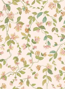 Cole & Son Tapete Flora - Tangerine/ Olive on Blush
